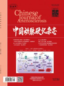 中国动脉硬化杂志